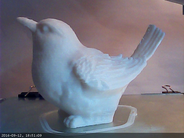 3D-Druck Technik, 3D-Druck eines Vogels im Zeitraffer